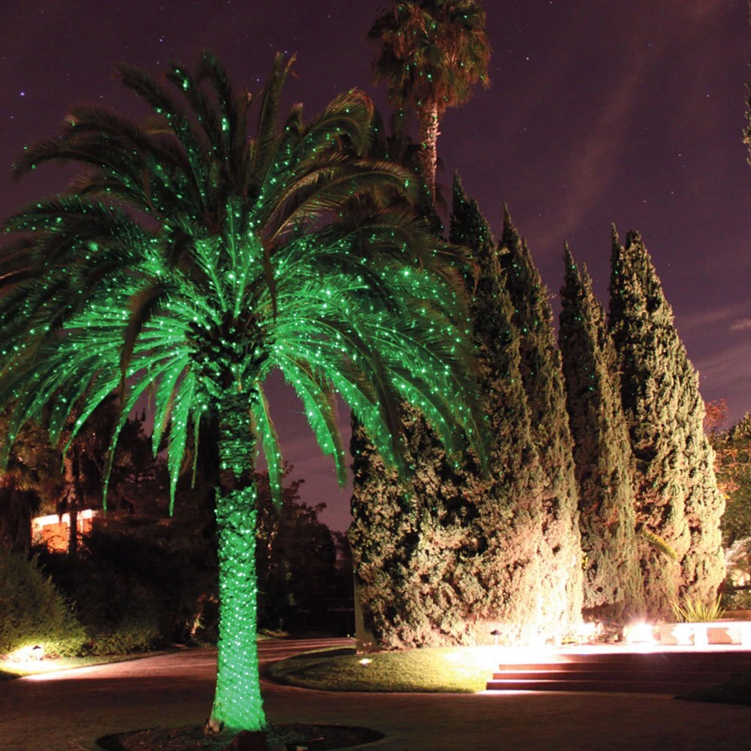 Outdoor Rainproof Red/Green Laser - Image 2