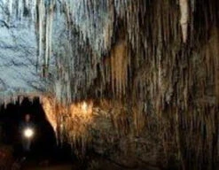 Wet Cave - MP3 Download