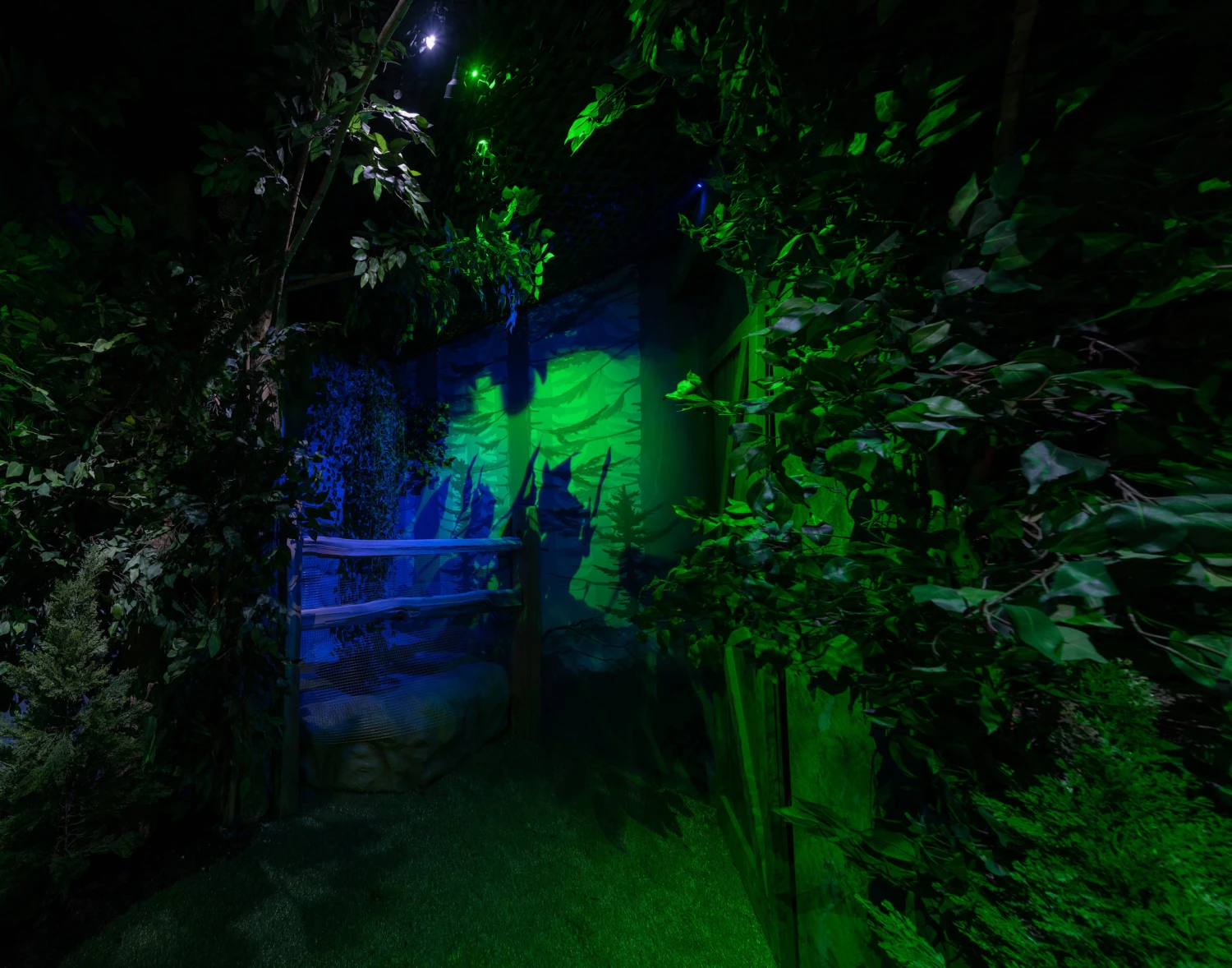 Hansel And Gretel- Turn- Key Full Escape Room - Image 11