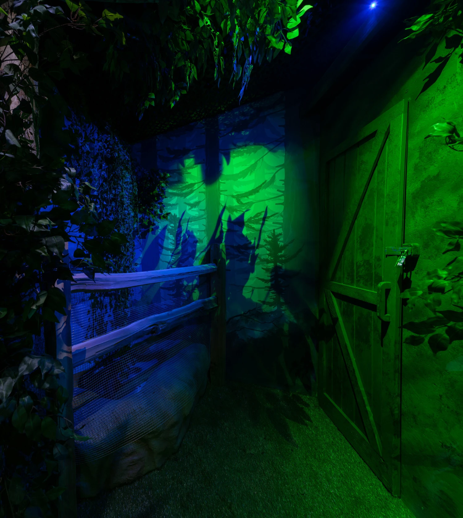 Hansel And Gretel- Turn- Key Full Escape Room - Image 5