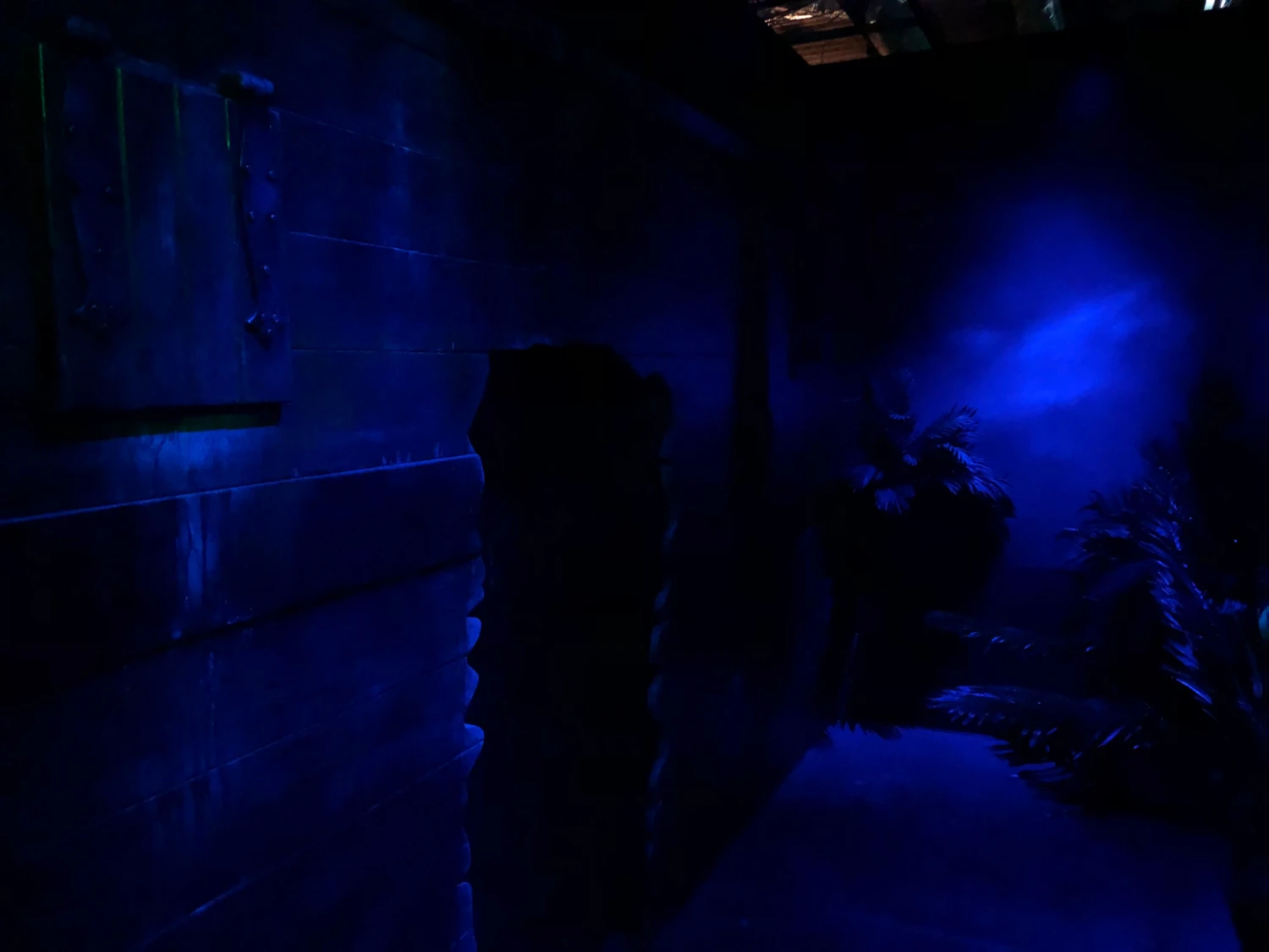 Captain's Cove- Turn-Key Full Escape Room - Image 8