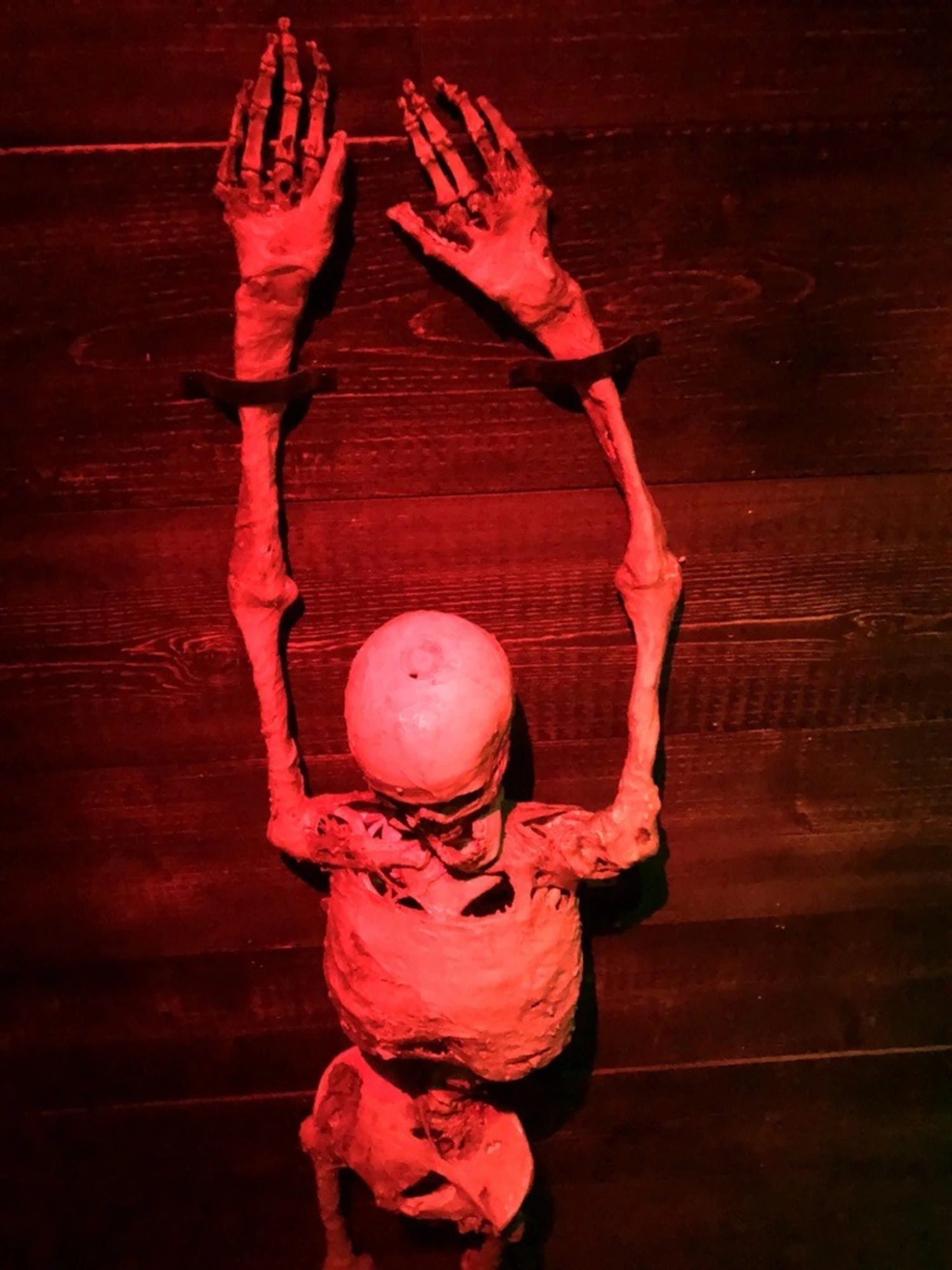 Captain's Cove- Turn-Key Full Escape Room - Image 10