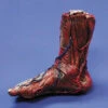 Skinned Right Foot Halloween Prop