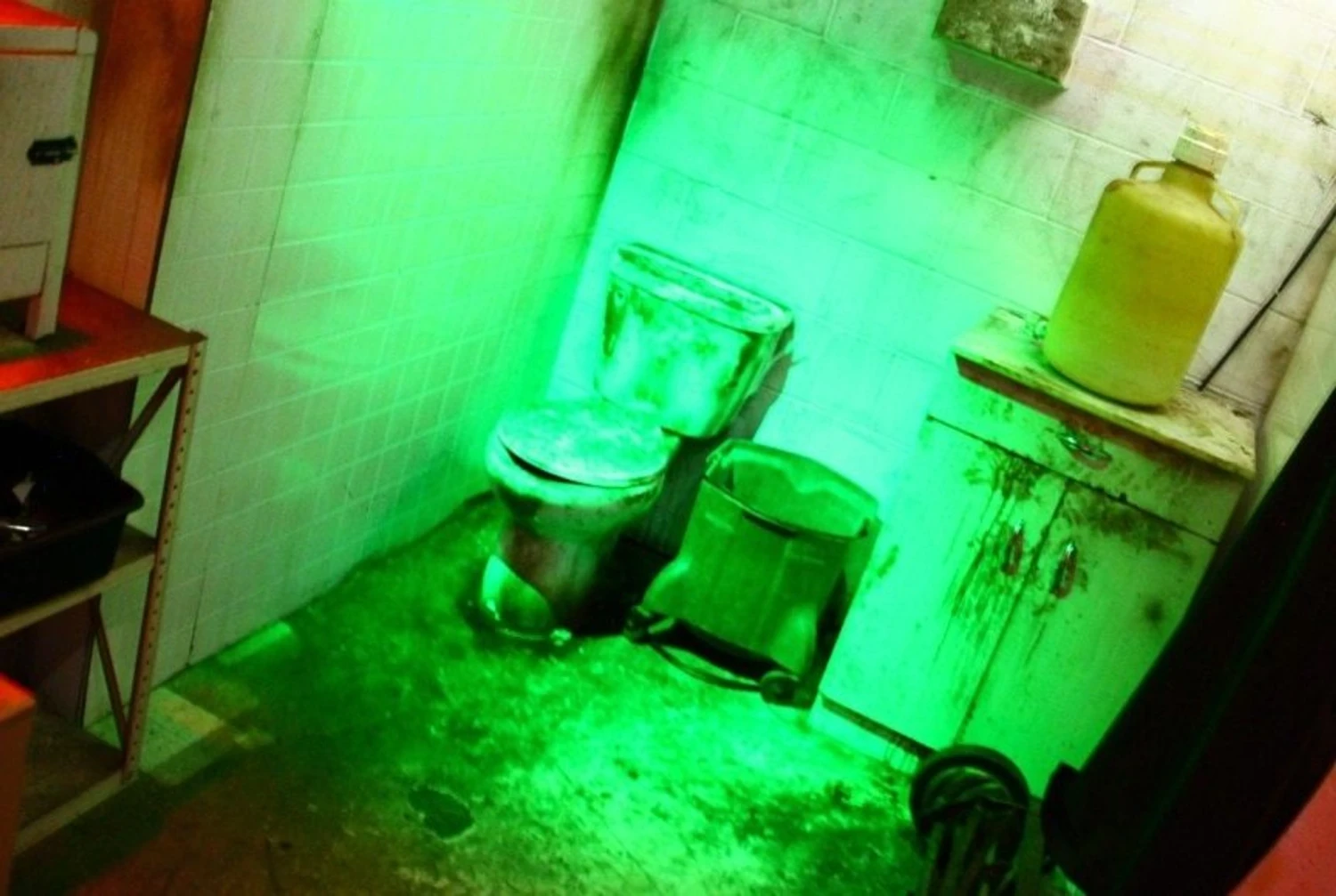 Eat Or Be Eaten - Turn-Key Mini Escape Game - Image 2