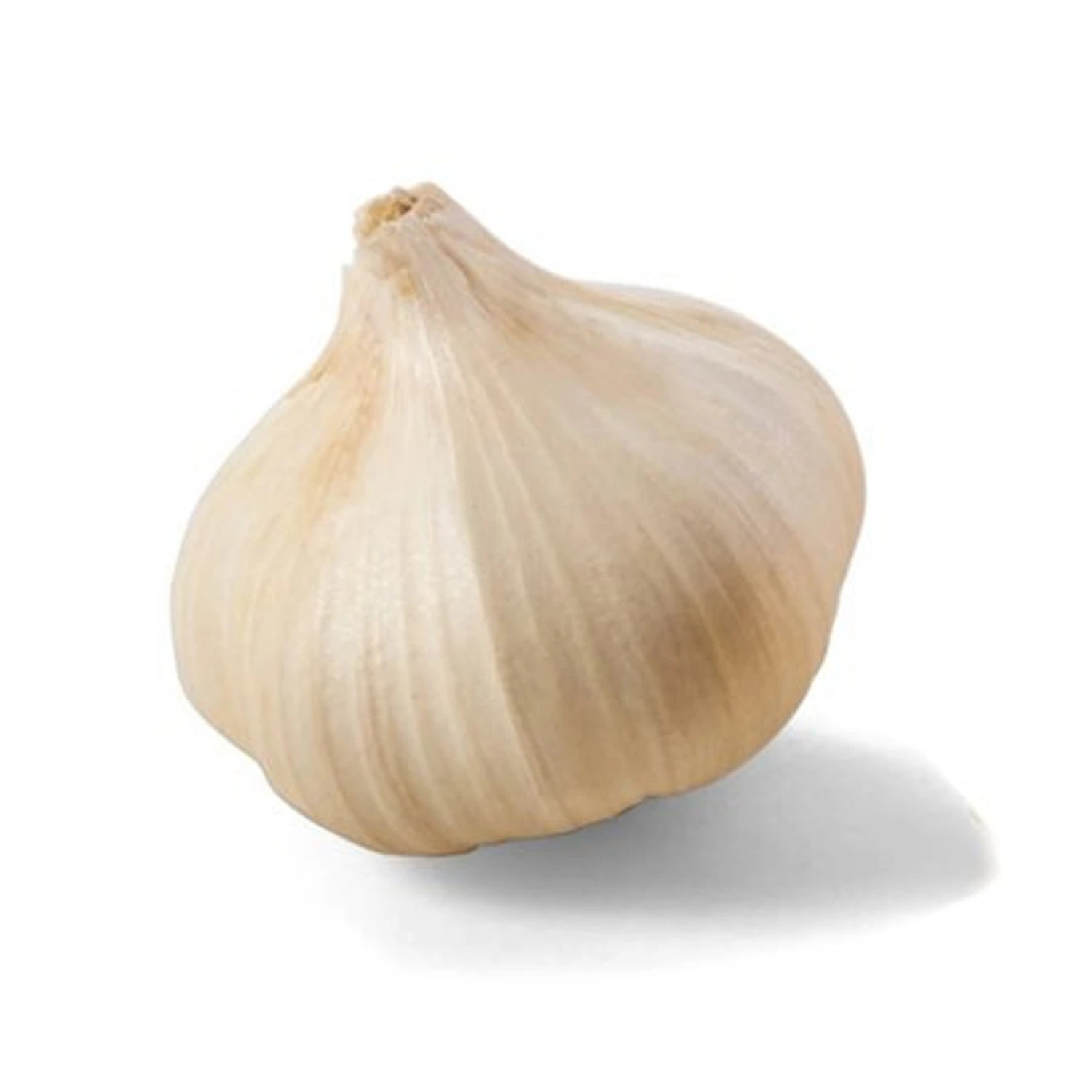 Garlic Scent Spritzer - Image 2