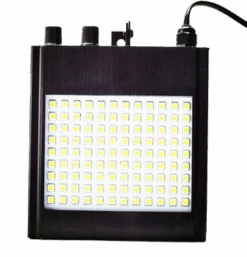 Cree White Strobe