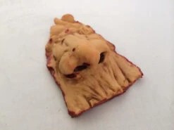 Nasty Nose Halloween Prop