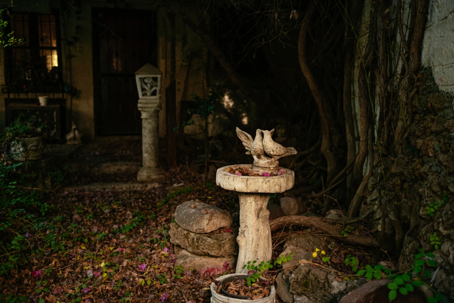 Walk The Grounds Scent Spritzer