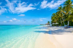 Beach Scent Spritzer